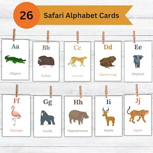 Safari Alphabet Flash Cards Template, Photo Educational Montessori Cards, Printable Educational School Cards, INSTANT DOWNLOAD