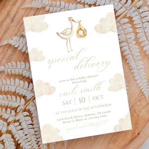 Stork Baby Shower Invitation Template, Special Delivery Stork Baby Shower, Gender Neutral Baby Shower, Printable Digital Baby Shower