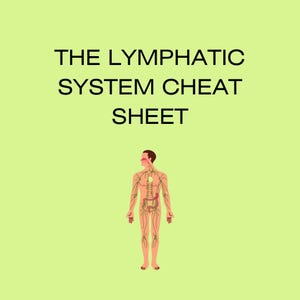 May include: A light green educational chart with the text "THE LYMPHATIC SYSTEM CHEAT SHEET" in black. A diagram of a human body with the lymphatic system highlighted in green and red is below the text.