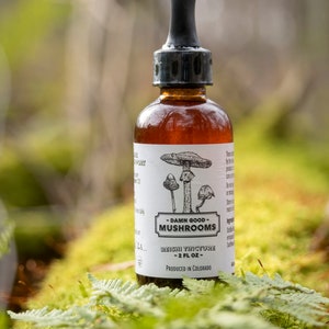 Può includere: Una bottiglia di vetro marrone con un contagocce e un'etichetta bianca che recita "Damn Good Mushrooms - Reishi Tincture - 2 fl oz - Produced in Colorado". La bottiglia è appoggiata su un letto di muschio verde.