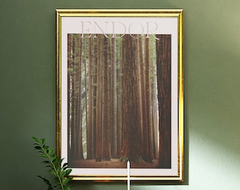 Endor Redwoods Return of the Jedi Wall Art Digital Download