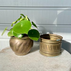 May include: A round brass planter with a diagonal ribbed texture containing a green Pilea peperomioides plant, positioned next to a cylindrical brass pot featuring horizontal bands and a diagonal ribbed pattern on its exterior surface.