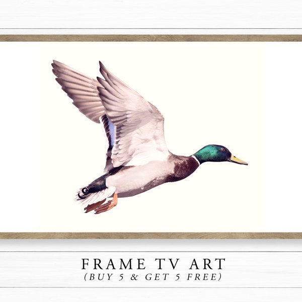 Frame TV Art | Mallard Wall Art | Samsung Frame TV Art | Duck Flying Wall Art | Animal Wall Art | Digital DOWNLOAD