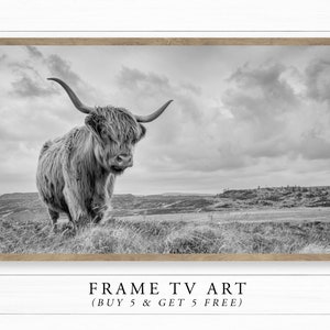 Frame TV Art | Highland Cow Standing In Field Art | Samsung Frame TV Art | Animal Wall Art | Digital DOWNLOAD