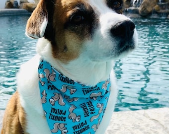 Squirrel Patrol Dog Bandana