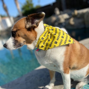 Nervous Dog Bandana