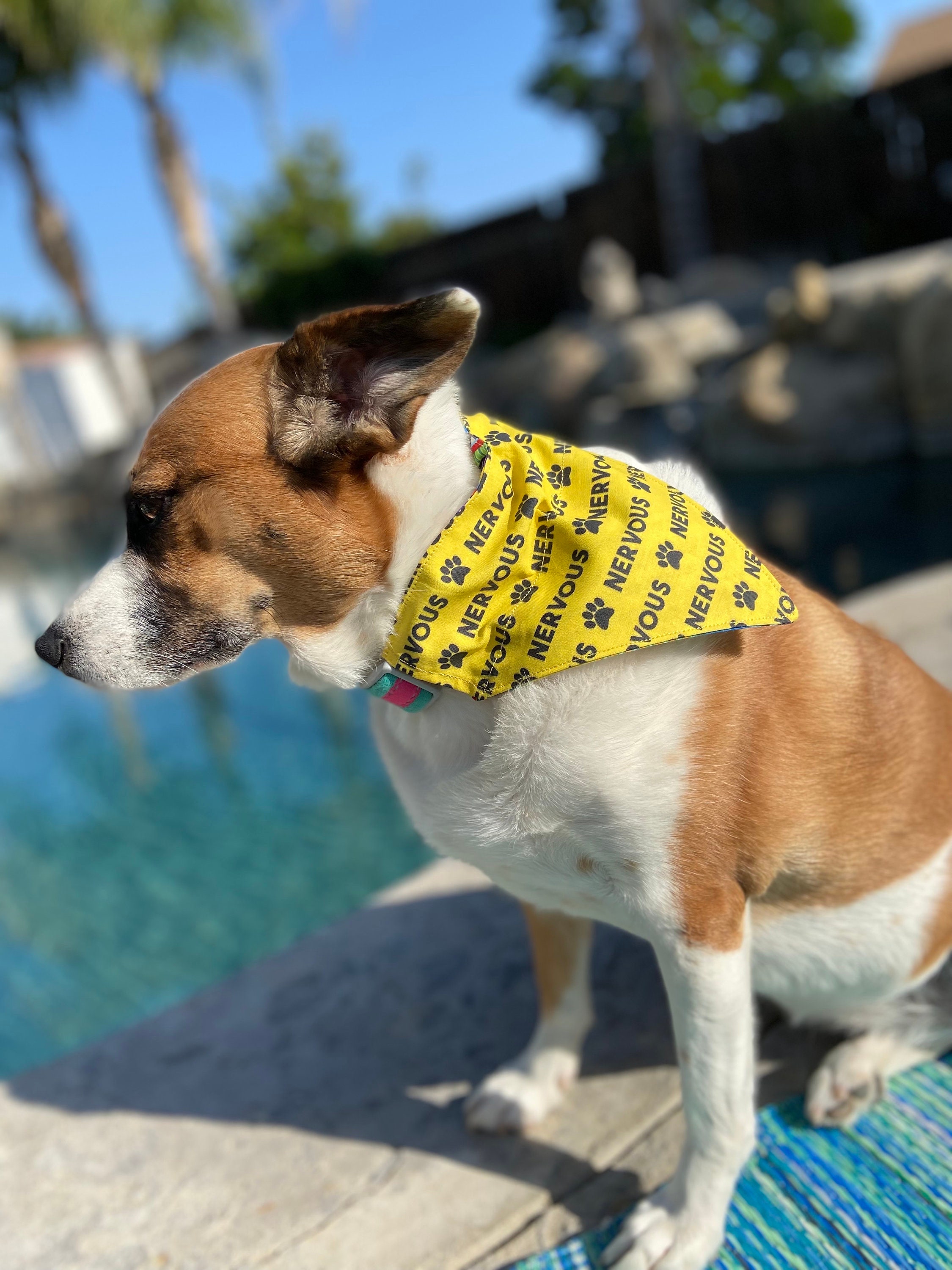 Dog Coats Yellow Nervous Dog Lead NERVOUS YELLOW DOG BANDANA – Pet