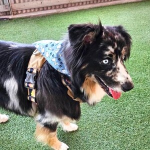 This is a popular Snoopy bandana. It has a blue background has little Snoopy’s scattered on it. The bandana is washable and reversible and slides on over your pet’s collar.