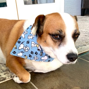 This is a popular Snoopy bandana. It has a blue background has little Snoopy’s scattered on it. The bandana is washable and reversible and slides on over your pet’s collar.