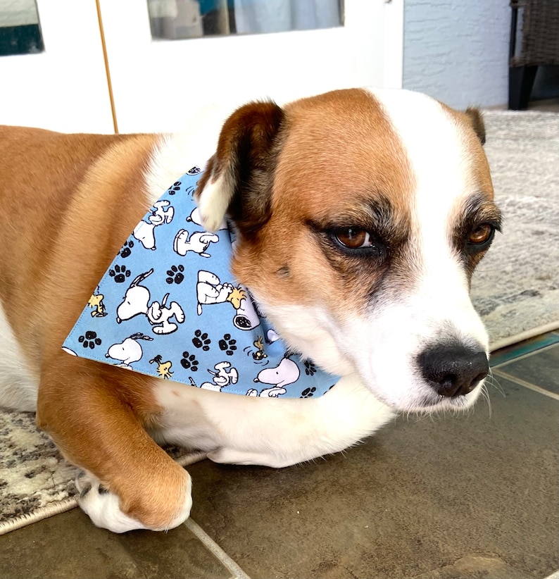 This is a popular Snoopy bandana. It has a blue background has little Snoopy’s scattered on it. The bandana is washable and reversible and slides on over your pet’s collar.