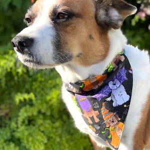 Halloween Dog Bandana