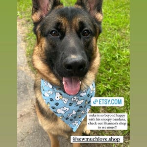 This is a popular Snoopy bandana. It has a blue background has little Snoopy’s scattered on it. The bandana is washable and reversible and slides on over your pet’s collar.