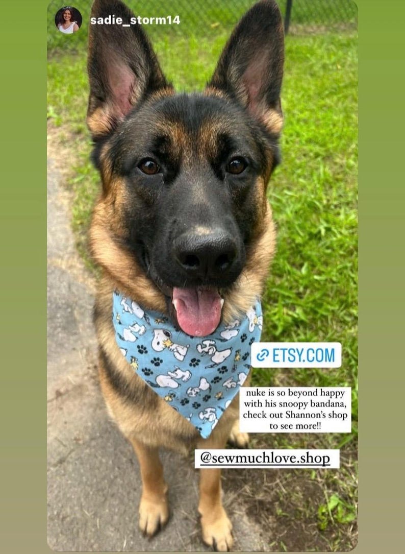 This is a popular Snoopy bandana. It has a blue background has little Snoopy’s scattered on it. The bandana is washable and reversible and slides on over your pet’s collar.