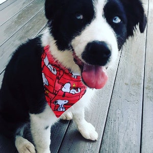 Snoopy Doghouse Dog Bandana