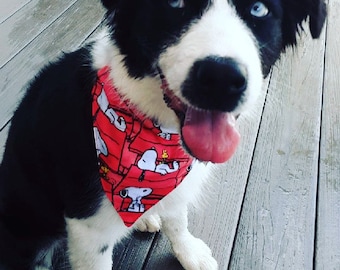Bandana para cachorro Snoopy Doghouse