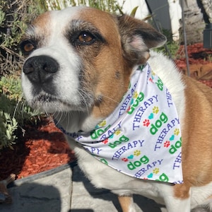 Therapy Dog Bandana