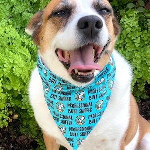 Professional Butt Sniffer dog bandana