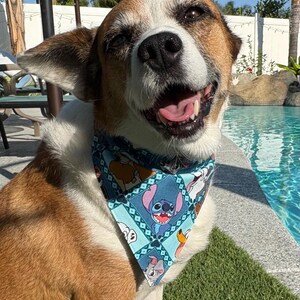 Disney Dog Cameo bandana