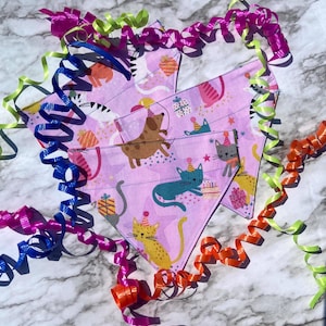 Birthday Cat Bandana