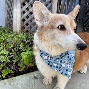 This is a popular Snoopy bandana. It has a blue background has little Snoopy’s scattered on it. The bandana is washable and reversible and slides on over your pet’s collar.