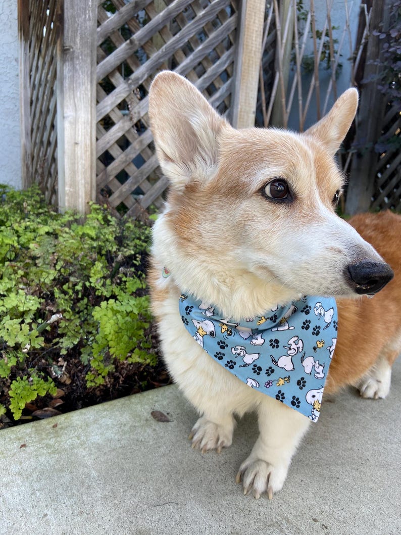 This is a popular Snoopy bandana. It has a blue background has little Snoopy’s scattered on it. The bandana is washable and reversible and slides on over your pet’s collar.