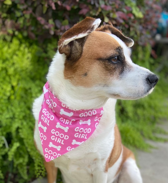 Hundehalstuch Für Mädchen – Birthday Girl Halsbandtuch Aus Weichem Büffelkaro Für Kleine & Große Hunde