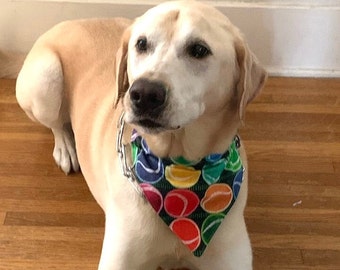 Bandana para cachorro com bola de tênis