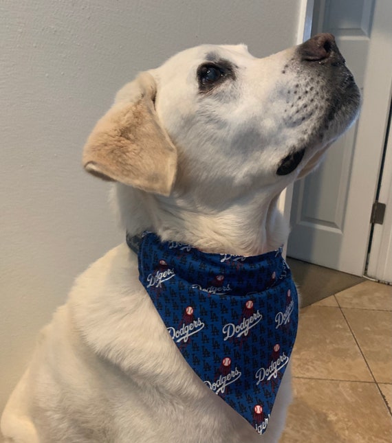 Dodgers dog best sale bandana