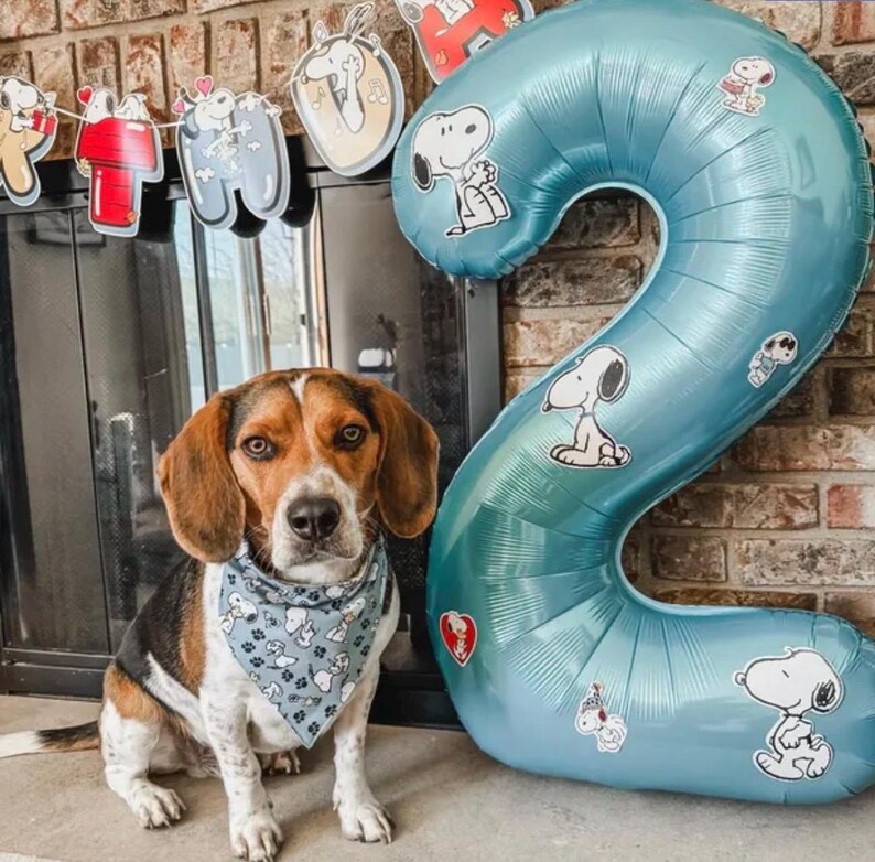 Bandana azul para cachorro Snoopy imagem 10