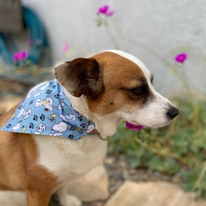 This is a popular Snoopy bandana. It has a blue background has little Snoopy’s scattered on it. The bandana is washable and reversible and slides on over your pet’s collar.