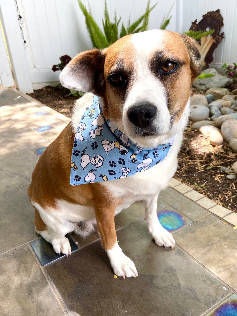 This is a popular Snoopy bandana. It has a blue background has little Snoopy’s scattered on it. The bandana is washable and reversible and slides on over your pet’s collar.