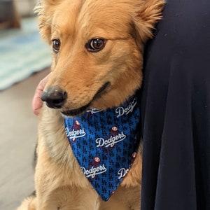 Dodger Dog Bandana