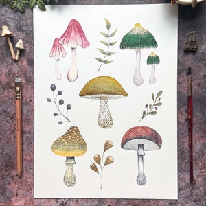 May include: Watercolor illustration of various mushrooms in shades of red, green, yellow, and brown. The artwork includes detailed depictions of different mushroom species, along with sprigs of leaves and berries. The mushrooms are painted on a white paper.