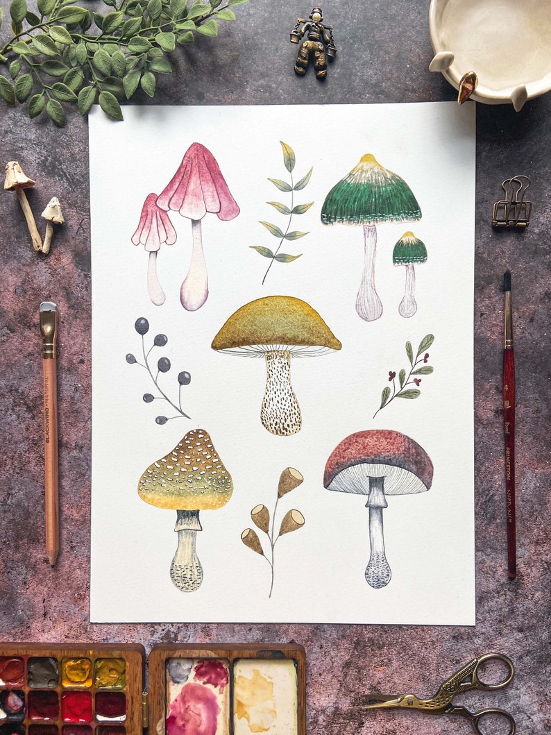 May include: Watercolor illustration of various mushrooms in shades of red, green, yellow, and brown. The artwork includes detailed depictions of different mushroom species, along with sprigs of leaves and berries. The mushrooms are painted on a white paper.