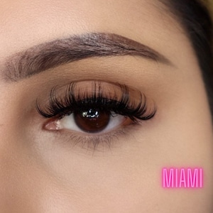 Miami Lashes
