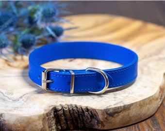 some thing blue beaded Crystal dog collar Blue leather dog collar Wedding accessory Girl collar dog of honor Blue flower dog collar some thing blue beaded Crystal dog collar Blue leather dog collar Wedding accessory Girl collar dog of honor Blue flower dog collar