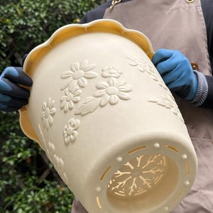 May include: Cream-colored plastic flower pot with embossed floral design. The pot has a scalloped rim and drainage holes at the bottom. The pot is held by a person wearing blue gloves.