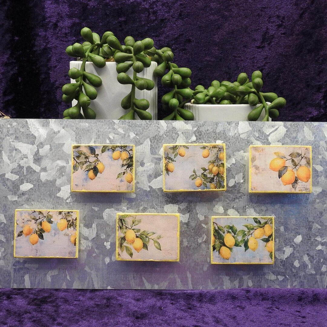 Lemon Magnets Lemon Wood Refrigerator Magnets (choice of 2 Designs) - Etsy