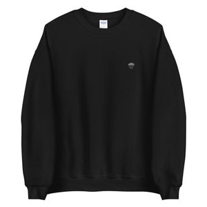 May include: Black sweatshirt with a small embroidered cloud with raindrops design.