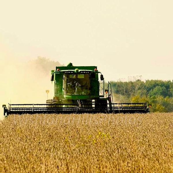 Ready for Harvest, John Deere Picture, Tractor, Farm Life Pictures, Harvest, Farmhouse Wall Art, Photography Print or Canvas