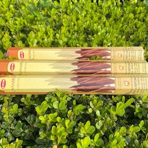 Cinnamon Incense Sticks, Sweet Scent, 3 packs