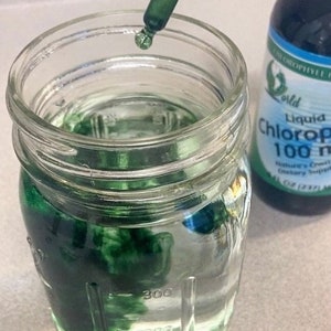 Organic Chlorophyll Drops, 2 oz