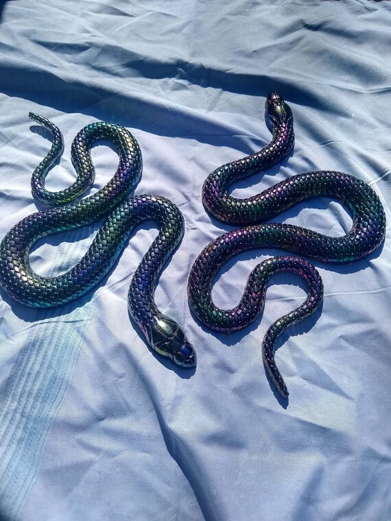 Rainbow Snake