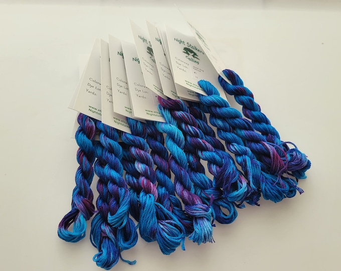 Jewel Bug Nebula 6 Strand DMC, Hand Dyed Floss, Variegated Thread