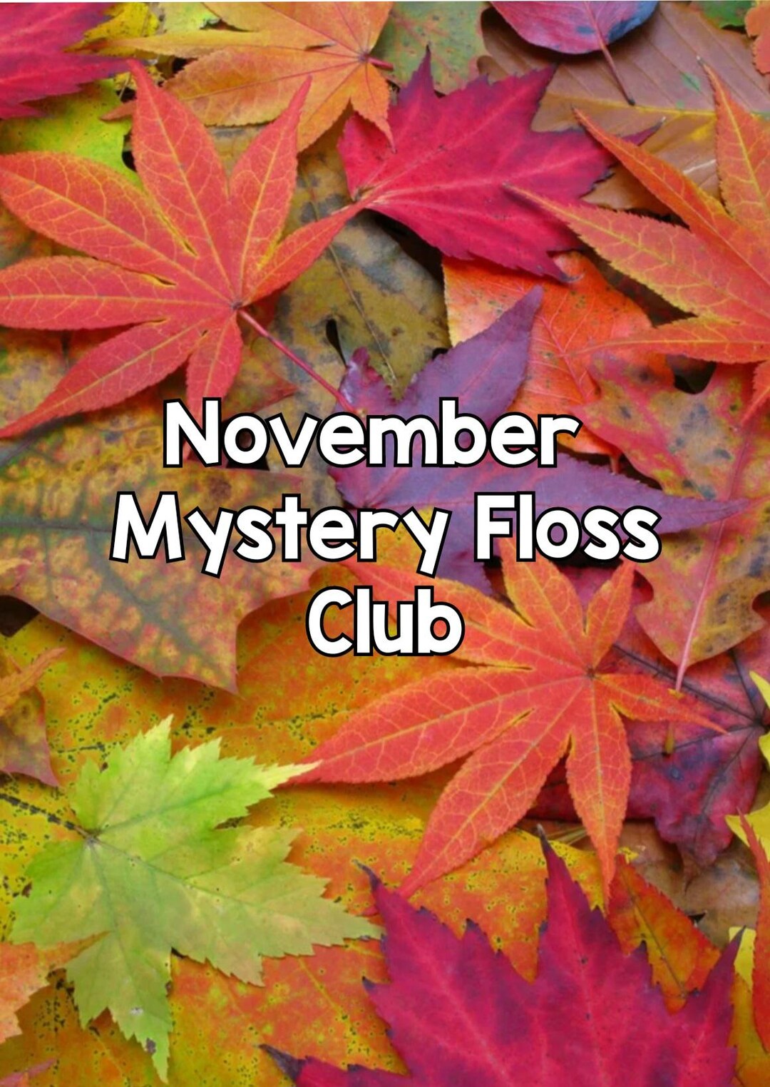 November Mystery JUST THE FLOSS Club Fall Leaves, Hand Dyed Floss ...