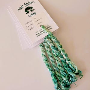 Könnte beinhalten: Geflochtenes Seidenstickgarn in Grün- und Weißtönen, bezeichnet als "Sea Glass" von Night Stalkers. Das Etikett gibt 9,14 Meter Garn an. Ideal für Stickereien und andere Bastelprojekte.