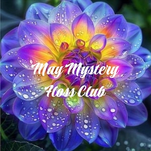 May include: A close-up of a vibrant dahlia flower with petals in shades of purple, blue, yellow, and orange. Water droplets are visible on the petals. The text "May Mystery Floss Club" is overlaid on the flower.