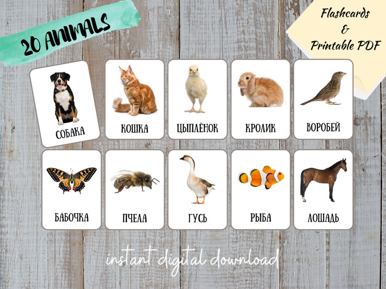 May include: A set of 20 printable flashcards featuring various animals, including a dog, cat, chick, rabbit, sparrow, butterfly, bee, goose, fish, and horse. The flashcards are labeled with the Russian names for each animal.