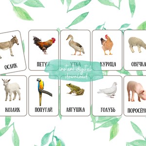 May include: A set of flashcards featuring various animals, including a donkey, rooster, duck, chicken, sheep, goat, parrot, frog, dove, and pig. Each card has a picture of the animal and the animal's name written below in Russian.