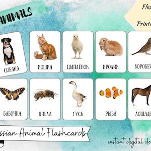 May include: A set of 20 colorful flashcards featuring images of animals with their Russian names. The animals include a dog, cat, chick, rabbit, sparrow, butterfly, bee, goose, fish, and horse.
